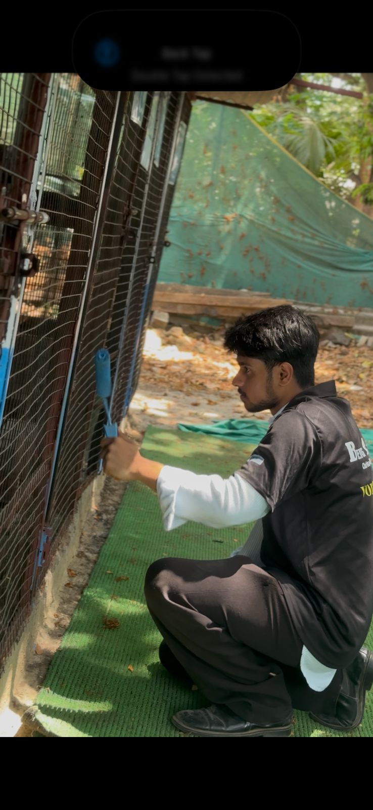 Dog Shelter